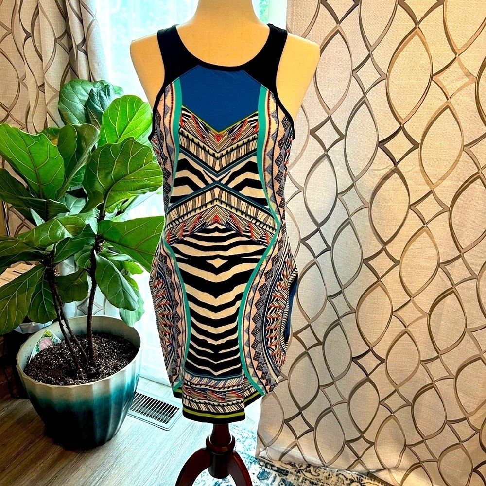 Express Animal Print and Astract Print 95% cotton dress! Size Large